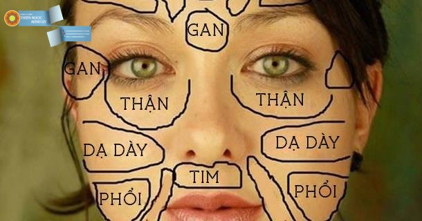 Nhìn da mặt đoán tình trạng sức khỏe bên trong